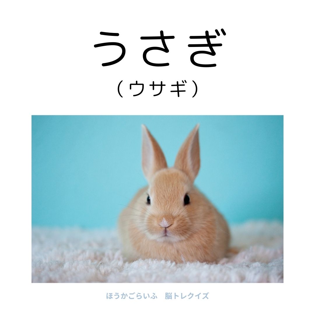 高齢者向け（無料）言葉の並び替えで脳トレしよう！文字（ひらがな）を並び替える簡単なゲーム【動物の名前】健康寿命を延ばす鍵